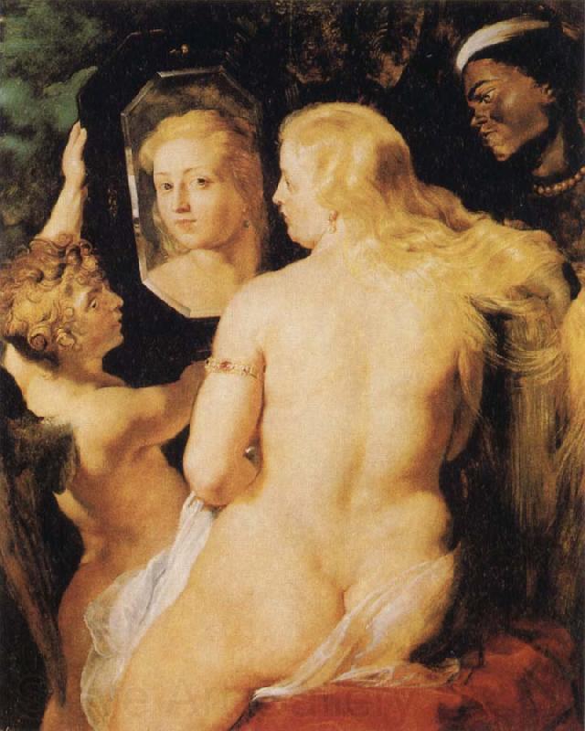 Peter Paul Rubens Venus at a Mirror Spain oil painting art